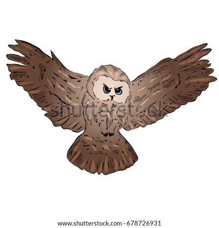Brown flying owl in cartoon style. Vector illustration