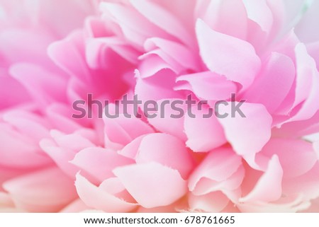 Beautiful pink flowers made with color filters, soft color and blur style for background