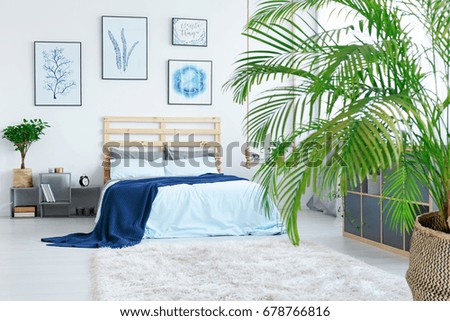 View of modern bright stylish bedroom