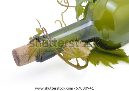 Picture of grape-vine and bottle for wine