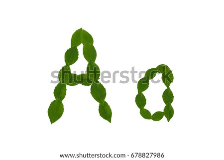 Letter A, alphabet made from green leaves isolated on white background