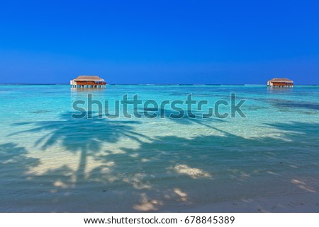 Tropical Maldives island - nature travel background