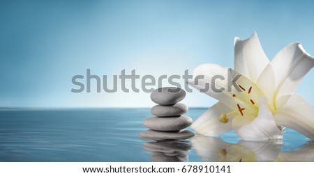 lily and spa stone in water