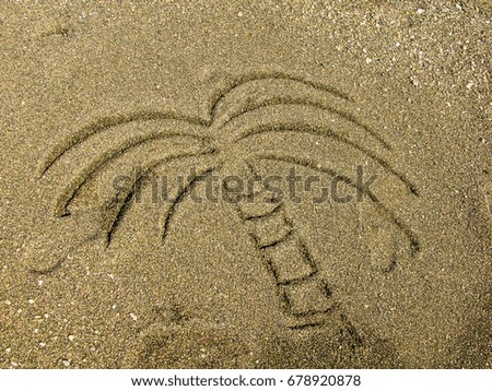palm  painted on beach sand