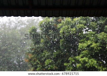 Picture of rain drops falling heavily among the background is trees and nature blur.