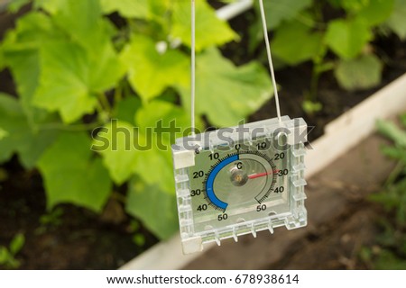 Thermometer for measuring air temperature in the greenhouse. Royalty-Free Stock Photo #678938614