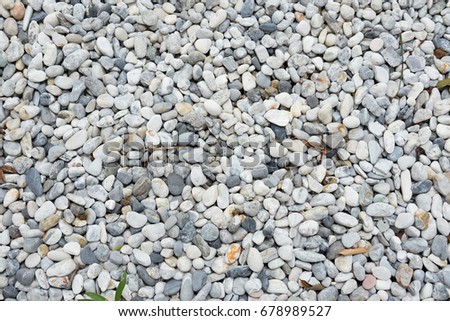 Background with different color sea stones