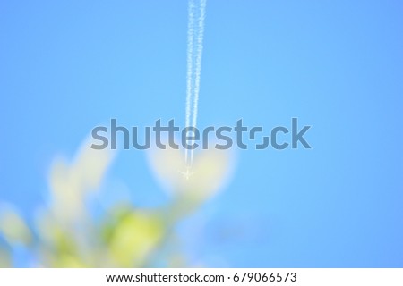 The silhouette of the branch through which the flying aircraft leaves a trail on the background of a clear sky
