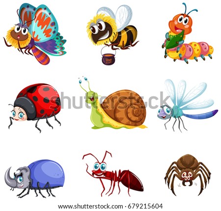 Different types of insects illustration