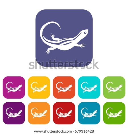 Lizard icons set vector illustration in flat style In colors red, blue, green and other