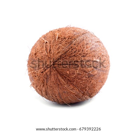 A view from behind on a whole hairy coconut isolated on a bright white background. Exotic tropical fruits that grow on palms. Healthy nutritious ingredients for summer meals. 