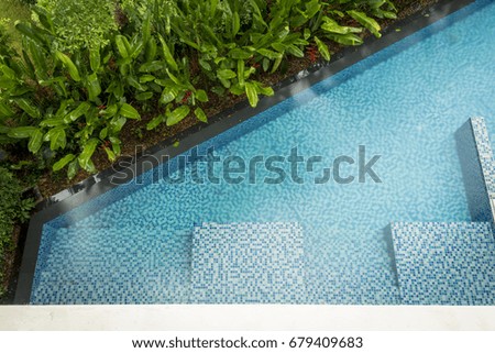 Swimming pool between garden and building.