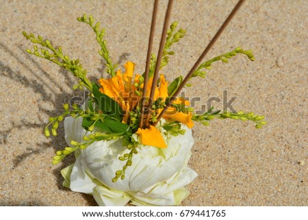 Lotus bloom put on the sand before it floats in the water. Loy Krathong traditional of thailand
