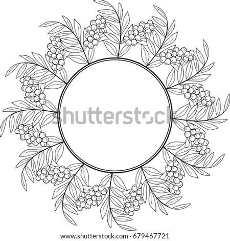 Ink drawing of rowan or rowanberry. Berries and rowan berries with leaves, hand drawn in rustic design, classic drawing element of wild ash, pit or rowan-tree. Border, round frame, black and white.