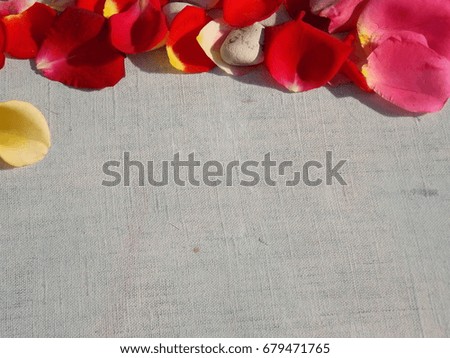 rose petals on the table