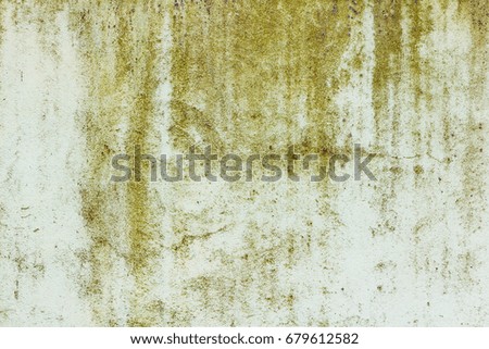 Green painted concrete wall texture with damaged and scratched surface. Abstract background