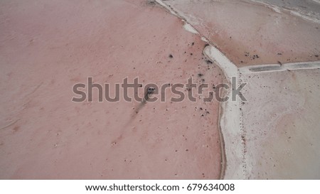Beautiful salty pink lake view from above