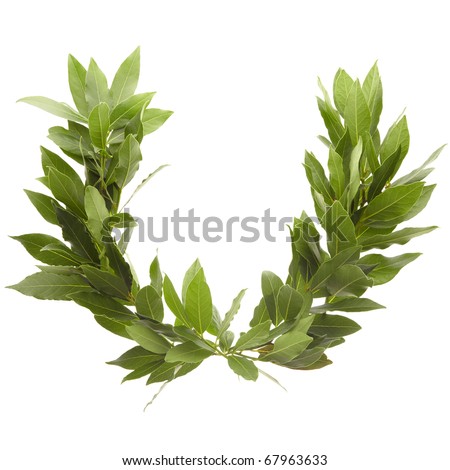 Laurel wreath isolated on white, clipping path included Royalty-Free Stock Photo #67963633