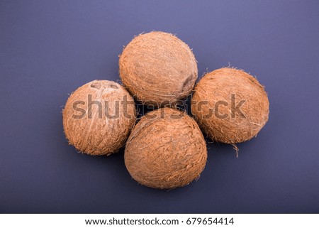 Four tropical and exotic coconuts on a dark purple background. Nutritious exotic nuts. Tasty and bright brown nuts. Whole and sweet cocos. Fresh, ripe and organic fruit of coconuts.