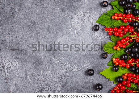 Black currant on green background texture
