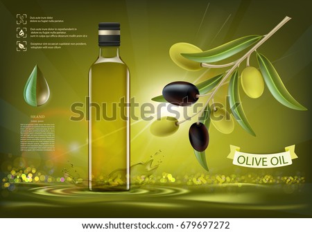 Glass bottle with oil and olives with leaves on a branch. Package design. Healthy vegetarian product. Stock vector illustration.