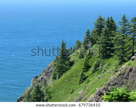 GREEN MOUNTAIN SIDE WITH TREES ON PACIFIC COAST 