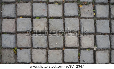 Texture: Pavement Cement Square Brick with Dust and Leaves for Backyard Garden Design. High Resolution.