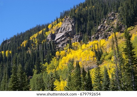 Autumn Hillside in the Rocky Mountains