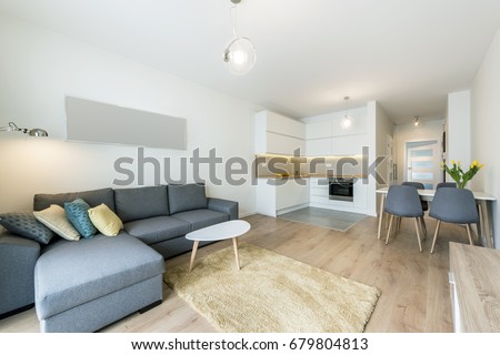 Modern living room and kitchen in small apartment Royalty-Free Stock Photo #679804813