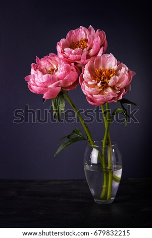 peonies in vase on black table