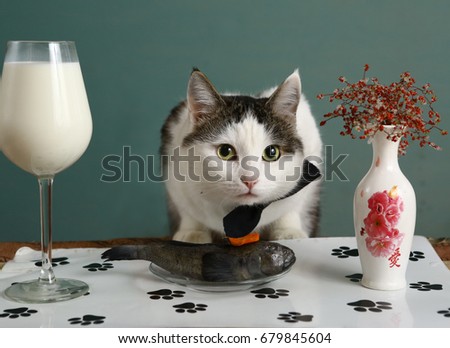 cat in pet restaurant with raw fish and milk in wine glass close up photo