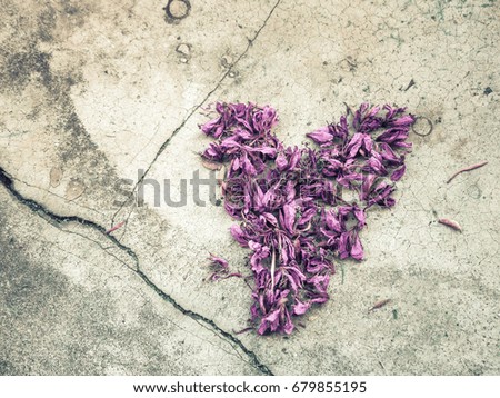 Heart symbol made of dried flowers.  copy empty space for text, selective focus and toned image
