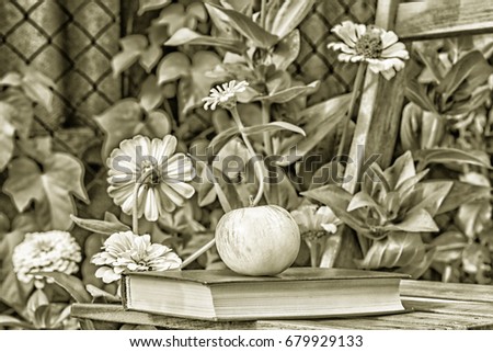 Apple and book on a garden chair among the flowering white zinnias in the garden on a summer day, close-up. Selective focus, photo tinted and styled