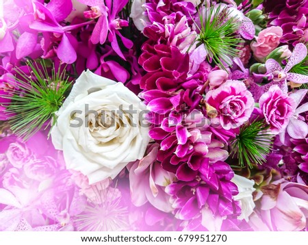 blur abstract colorful flower background