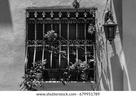 Window decorated with fresh flowers with ornamental metal lattice on Malta. Black and white picture