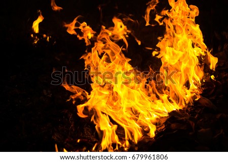 Fire in the backyard Royalty-Free Stock Photo #679961806