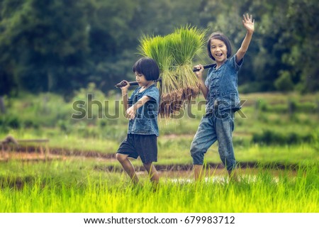 Asian children farmer on rice field. Royalty-Free Stock Photo #679983712