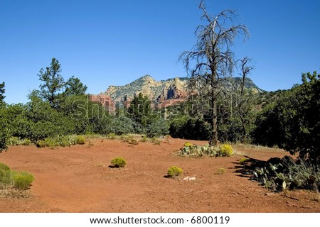 a with the unique rock formations vegetation and  beautiful colors picture of the beauty that is Sedona Arizona