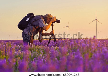 Photographer takes a picture of lavender on a sunset background. Wind turbines
                               