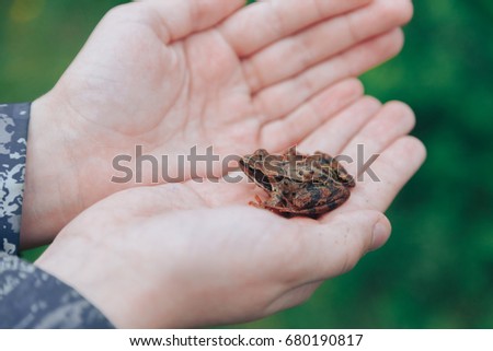 
A frog in the hands of a child