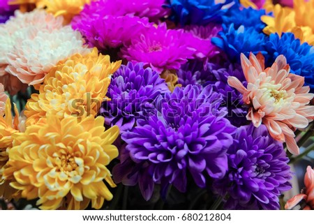 Beautiful bouquet of flowers
 