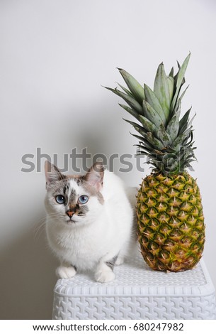 White blue-eyed cat and pineapple on white background