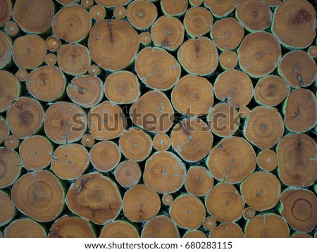 Pile of wood logs stumps texture