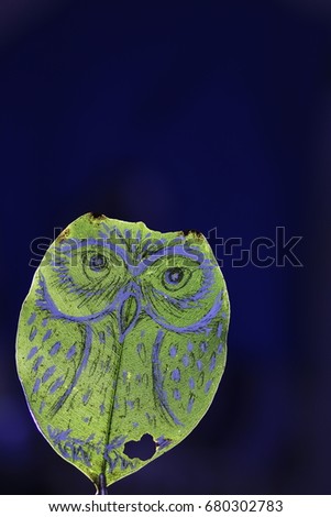 the owl wrote on green leaf on  light and blue background