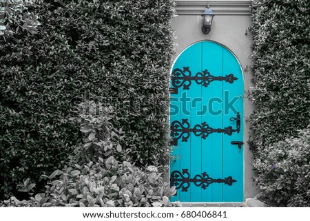 Old blue wooden entrance door with antique door handle in the garden