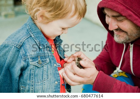 Dad and his young son found a baby bird Sparrow.