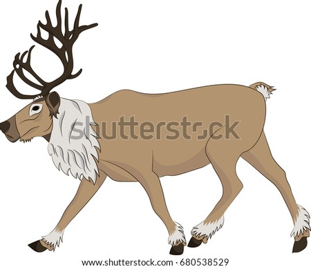 Reindeer running on white background. Vector illustration