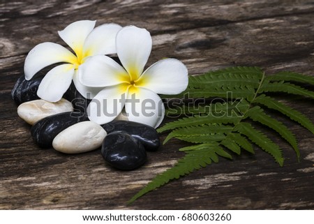 Spa stones, plumeria flower on wooden background