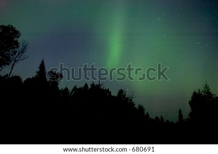Nothern Lights in the Boreal Forest : Northern Ontario