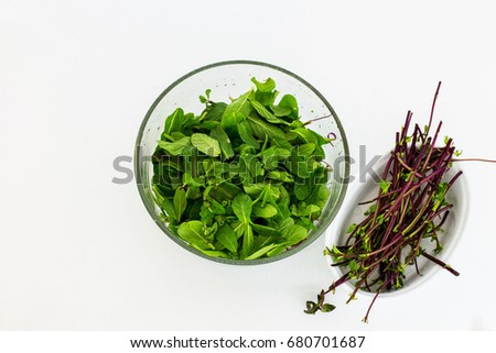 Mint leaves. White background.